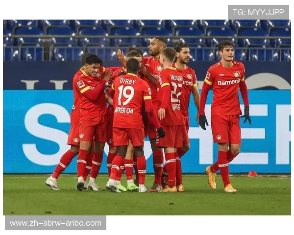 德甲目前存在的中资控股或背景俱乐部名单 德甲目前存在的中资控股或背景俱乐部名单